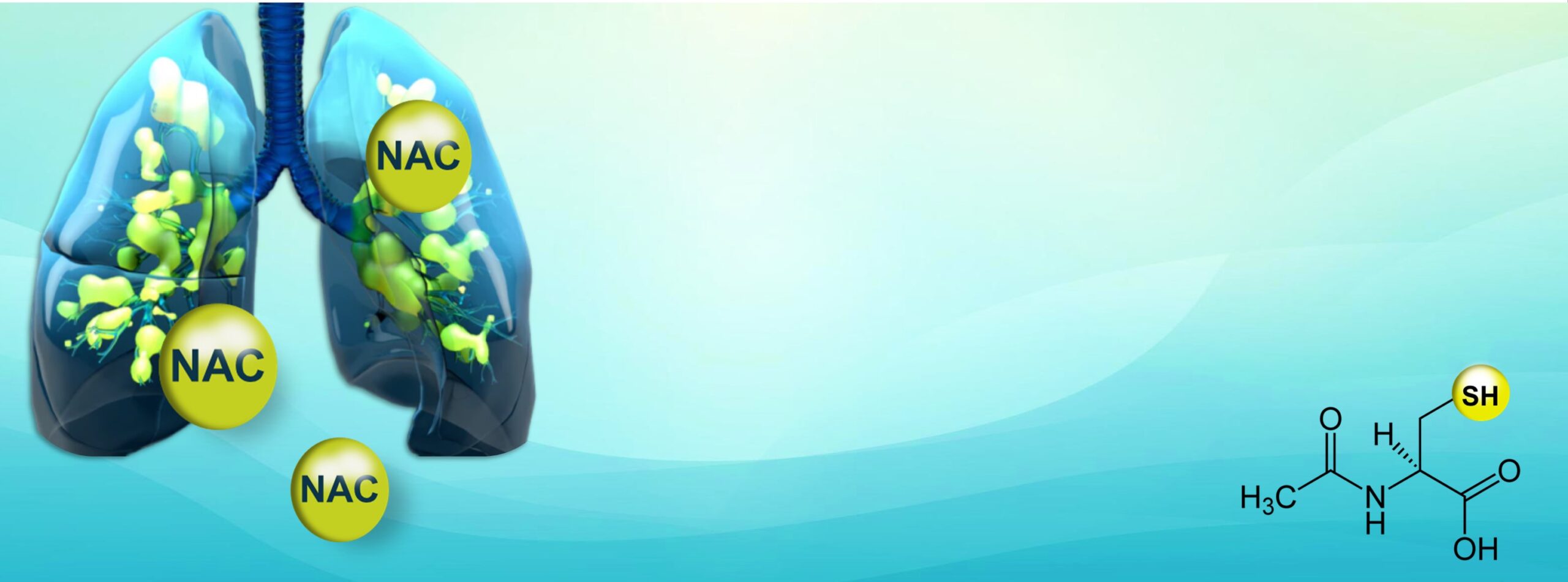 Baner Fluimucil 01